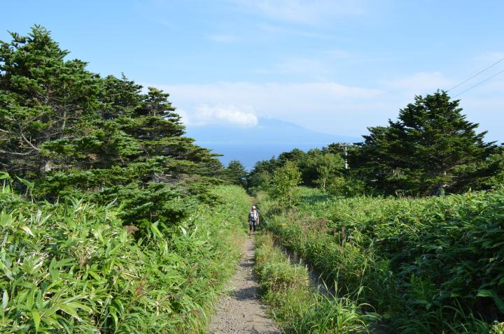 知床バス停から元地灯台を目指し、礼文島の西海岸を歩きます