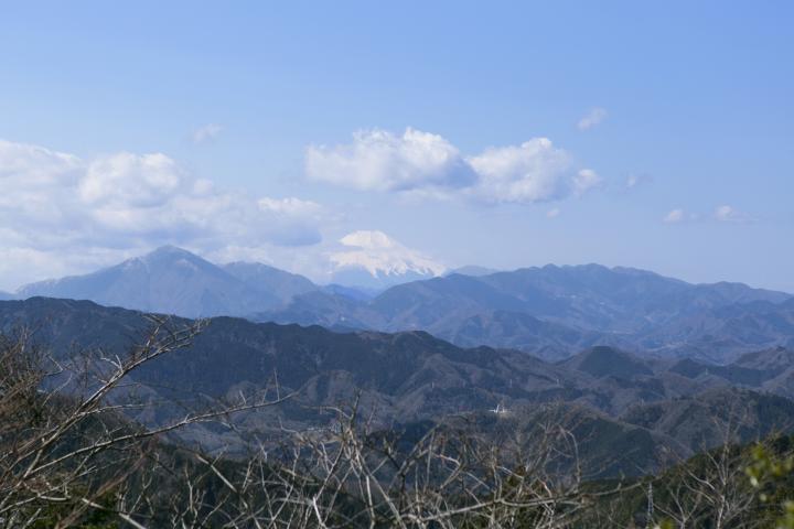 雄大な富士山を目の前に望む高尾山山頂