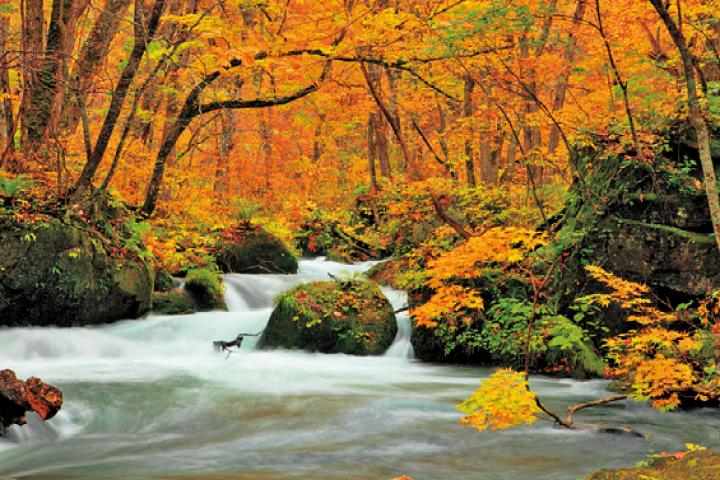 北海道新幹線で青森から函館へ。津軽海峡がつなぐ街をめぐる旅