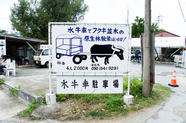 水牛車にゆられてのんびりツアーはいかが