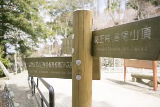 帰り道は、緑に包まれた静かな下山コースで