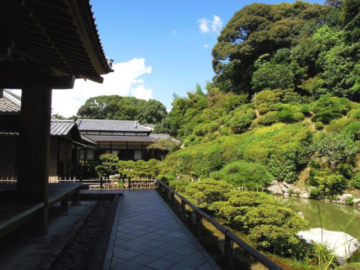 アジサイの隠れた新名所。東山の「智積院」