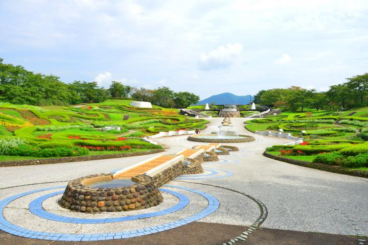 公園を彩る花々に秋の訪れを感じて