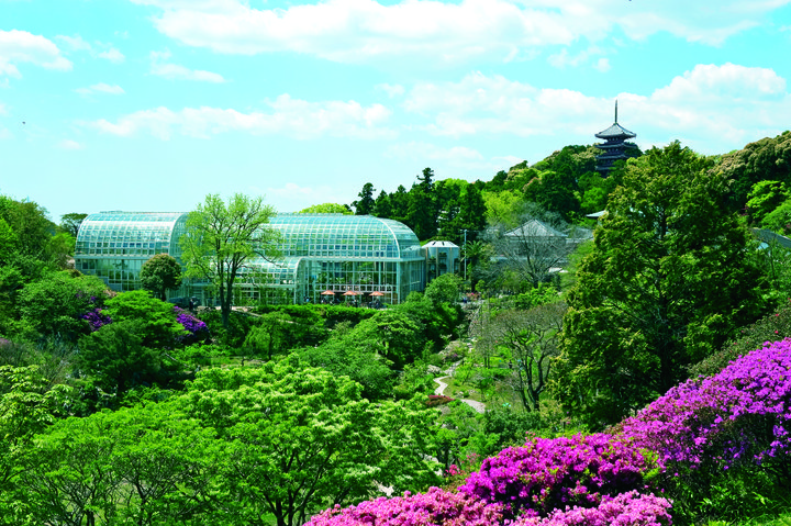 「生きた標本」とも称される、多彩な植物と出会える植物園