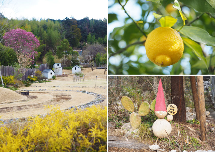 緑と季節の花々に癒される北欧スタイルの庭