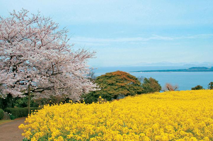 島に着いたらまず「のこのしまアイランドパーク」へ