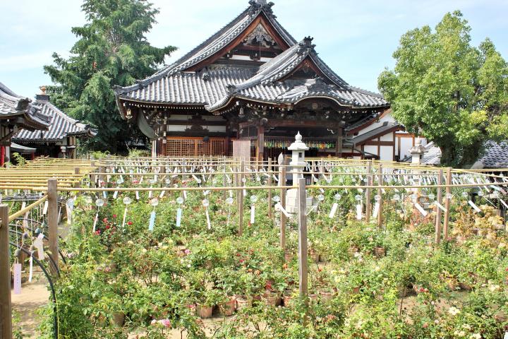 風鈴の音は暑い夏を乗り切るための厄払い