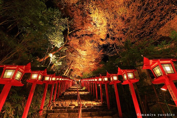 紅葉が縁を結ぶ、水と恋の神様「貴船神社」