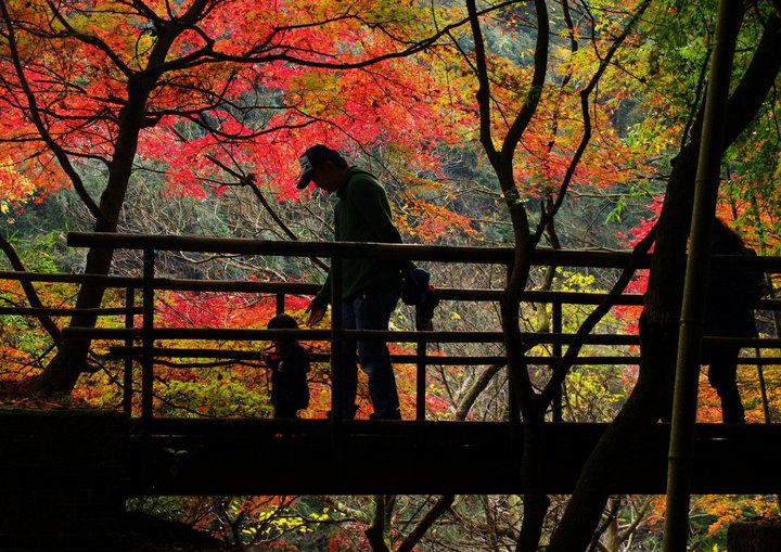 トンネルを抜けて、自然の中をぶらり散策