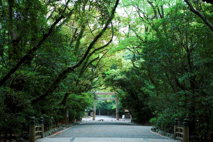 清らかな空気に満ちた由緒あるお宮を訪ねる