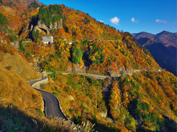 紅に染まる滝や渓谷の絶景！秋の彩りを楽しむドライブ