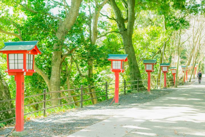 パワースポットの宝庫「髙尾山薬王院」で森林浴