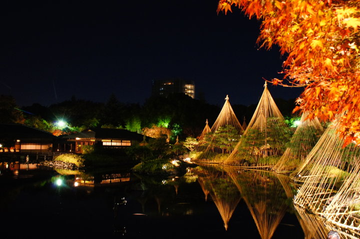 夜は「白鳥庭園」で紅葉ライトアップを見学