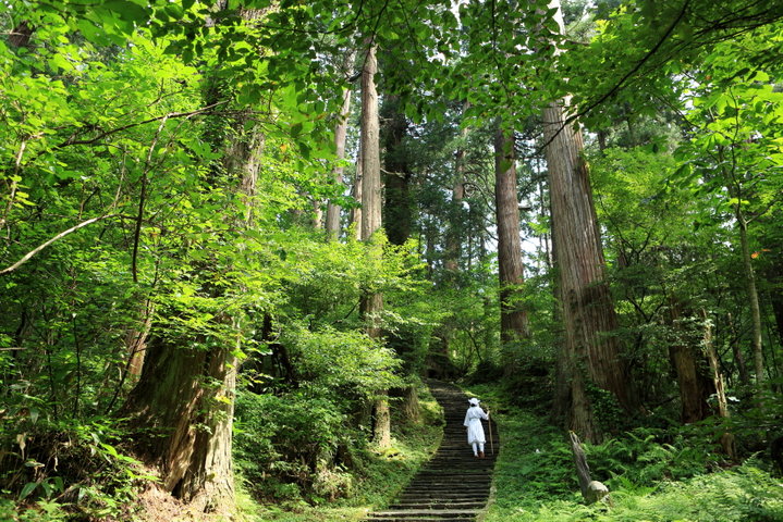 【羽黒山】西の伊勢参り、東の奥参りといわれる山で神秘的な空気にふれましょう